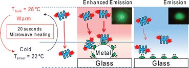 Graphical abstract: New tools for rapid clinical and bioagent diagnostics: microwaves and plasmonic nanostructures