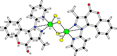 Graphical abstract: Synthesis, crystal structure, theoretical calculation and cytotoxic effect of new Pt(ii), Pd(ii) and Cu(ii) complexes with pyridine-pyrazoles derivatives