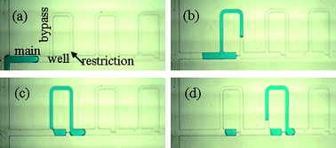 Graphical abstract: Simple, robust storage of drops and fluids in a microfluidic device