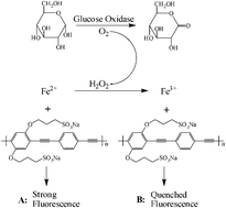 Graphical abstract: Different effects of Fe2+ and Fe3+ on conjugated polymer PPESO3: a novel platform for sensitive assays of hydrogen peroxide and glucose