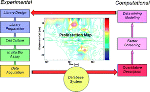 Graphical abstract: Advances in combinatorial and high-throughput screening of biofunctional polymers for gene delivery, tissue engineering and anti-fouling coatings