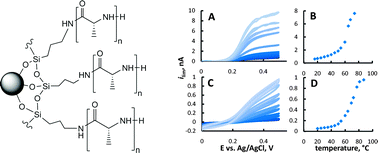 Graphical abstract: Poly(l-alanine)-modified nanoporous colloidal films