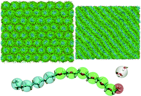 Graphical abstract: Coarse-grained molecular modeling of non-ionic surfactant self-assembly