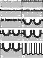 Graphical abstract: Mechanism study of self-organized TiO2nanotube arrays by anodization