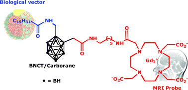 Graphical abstract: Synthesis of Gd(III)-C-palmitamidomethyl-C′-DOTAMA-C6-o-carborane: a new dual agent for innovative MRI/BNCT applications