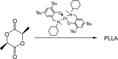 Graphical abstract: Homo- and heteroleptic zinc aminophenolates as initiators for lactide polymerization