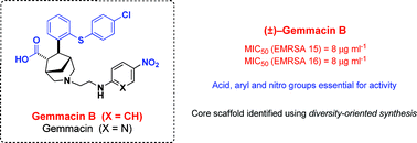 Graphical abstract: Gemmacin B: bringing diversity back into focus