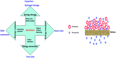 Graphical abstract: Electrospun nanofibers in energy and environmental applications