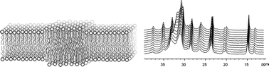 Graphical abstract: Cholesterol containing model membranes studied by multinuclear solid state NMR spectroscopy