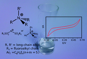 Graphical abstract: Immiscible electrolyte systems based on asymmetric hydrophobic room temperature ionic liquids