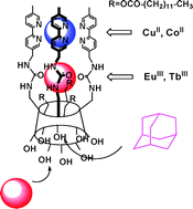 Graphical abstract: Upper-rim alternately tethered α-cyclodextrin molecular receptors: synthesis, metal complexation and interfacial behavior