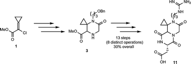 Graphical abstract: High yielding selective access to spirocyclopropanated 5-oxopiperazine-2-carboxylates and 1,4-diazepane-2,5-diones from methyl 2-chloro-2-cyclopropylideneacetate
