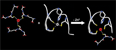 Graphical abstract: Interaction of trivalent antimony with a CCHC zinc finger domain: potential relevance to the mechanism of action of antimonial drugs