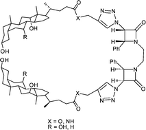 Graphical abstract: Synthesis and biological evaluation of bile acid dimers linked with 1,2,3-triazole and bis-β-lactam