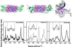 Graphical abstract: Effect of functionalization on the self-assembling propensity of β-sheet forming peptides