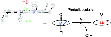Graphical abstract: Synthesis and photochemical properties of a new molybdenum porphycene complex
