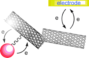 Graphical abstract: Electron transfer in pristine and functionalised single-walled carbon nanotubes