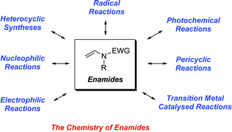 Graphical abstract: Enamides: valuable organic substrates