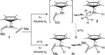 Graphical abstract: Utilisation of an η3-allyl hydride complex, formed by UV irradiation, as a controlled source of 16-electron (η5-C5Me5)Rh(CH2 [[double bond, length as m-dash]] CHMe)