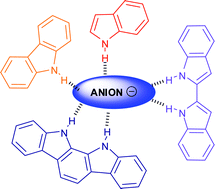 Graphical abstract: Synthetic indole, carbazole, biindole and indolocarbazole-based receptors: applications in anion complexation and sensing