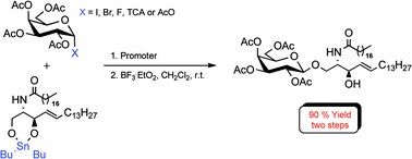 Graphical abstract: Stannyl ceramides as efficient acceptors for synthesising β-galactosyl ceramides