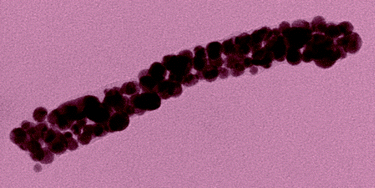 Graphical abstract: Preparation of high quality nanowires by tobacco mosaic virus templating of gold nanoparticles