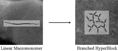 Graphical abstract: DendriMacs and HyperMacs – emerging as more than just model branched polymers.