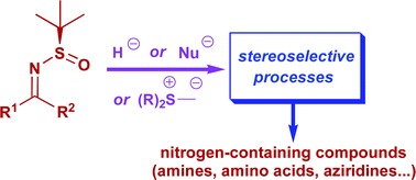 Graphical abstract: tert-Butanesulfinimines: structure, synthesis and synthetic applications