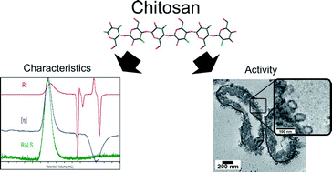 Graphical abstract: Strategy to improve the characterization of chitosan for sustainable biomedical applications: SAR guided multi-dimensional analysis