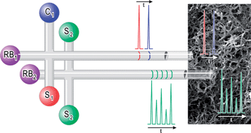Graphical abstract: Towards lab-on-a-chip approaches in real analytical domains based on microfluidic chips/electrochemical multi-walled carbon nanotube platforms