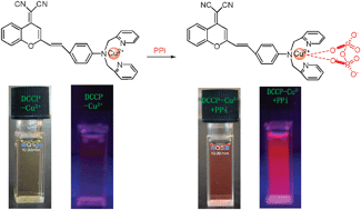 Graphical abstract: A colorimetric and fluorescent turn-on sensor for pyrophosphate anion based on a dicyanomethylene-4H-chromene framework