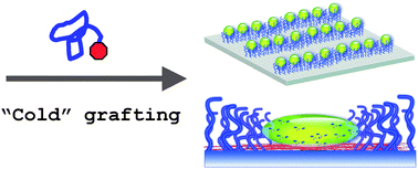 Graphical abstract: Nano-patterning with polymer brushes viasolvent-assisted polymer grafting