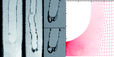 Graphical abstract: Fracture and large strain behavior of self-assembled triblock copolymer gels