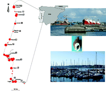 Graphical abstract: Temporal evolution of imposex in Nassarius reticulatus (L.) along the Portuguese coast: the efficacy of EC regulation 782/2003