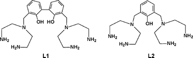 Graphical abstract: Two polyaminophenolic fluorescent chemosensors for H+ and Zn(ii). Spectroscopic behaviour of free ligands and of their dinuclear Zn(ii) complexes