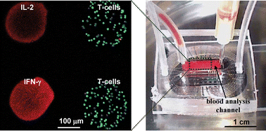 Graphical abstract: A microdevice for multiplexed detection of T-cell-secreted cytokines