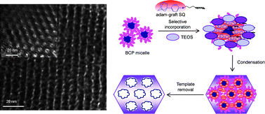 Graphical abstract: Synthesis of porous silica with hierarchical structure directed by a silica precursor carrying a pore-generating cage