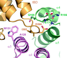 Graphical abstract: In search of small molecules blocking interactions between HIV proteins and intracellularcofactors