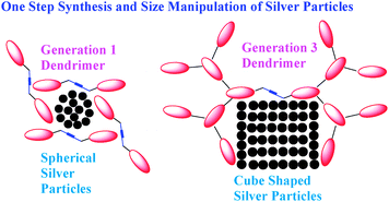 Graphical abstract: Shape control in silver metal nanoparticle construction using dumb-bell dendrimers