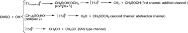 Graphical abstract: Oxidation mechanism of dimethyl sulfoxide (DMSO) by OH radical in liquid phase