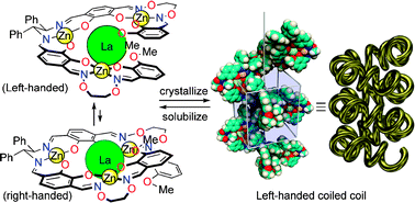Graphical abstract: Spontaneous formation of a chiral supramolecular superhelix in the crystalline state using a single-stranded tetranuclear metallohelicate