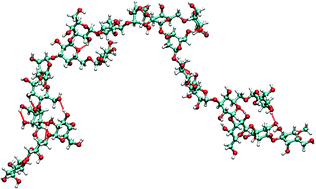 Graphical abstract: Conformational analysis of the neutral exopolysaccharide produced by Lactobacillus delbrueckii ssp. bulgaricus LBB.B26