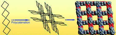 Graphical abstract: Unprecedented 3D polycatenation based on ribbons of rings found in two metallosupramolecular polymers whose open frameworks show reversible collapse upon de- and rehydration