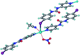 Graphical abstract: Silver(I) complexes of N-4-halophenyl-N′-4-pyridyl ureas. Isostructurality, urea⋯nitrate hydrogen bonding, and Ag⋯halogen interaction