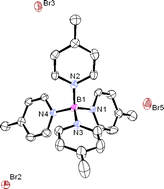 Graphical abstract: Boron di- and tri-cations
