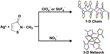 Graphical abstract: Anion influence on the coordination polymer structures of silver(I) complexes with 2-methylisothiazol-3(2H)-one