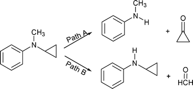 Graphical abstract: Theoretical study of N-dealkylation of N-cyclopropyl-N-methylaniline catalyzed by cytochrome P450: insight into the origin of the regioselectivity