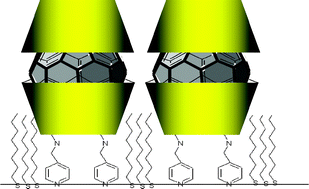 Graphical abstract: Interfacial supramolecular cyclodextrin-fullerene assemblies: host reorientation and guest stabilization