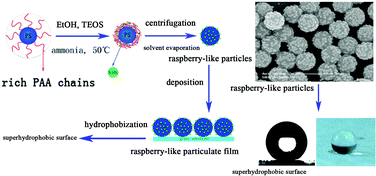 Graphical abstract: A novel approach to raspberry-like particles for superhydrophobic materials