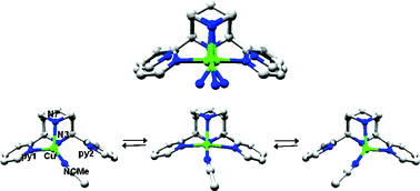 Graphical abstract: Distortional isomerism with copper(i) complexes of 3,7-diazabicyclo[3.3.1]nonane derivatives